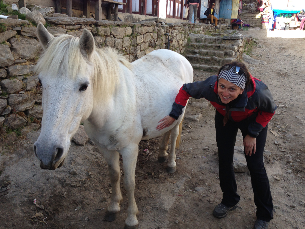 Yak Deworming